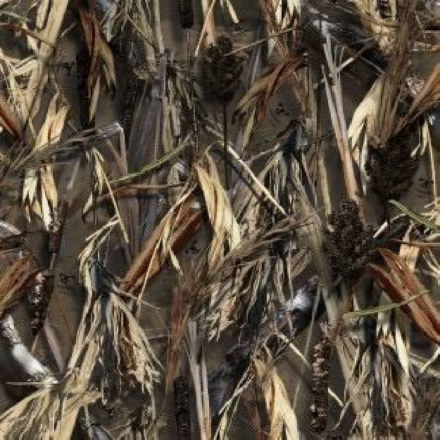 CFG HYDROGRAPHIC DIP KIT TRUE TIMBER DRT 50%